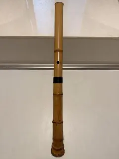 Item thumbnail for item 6d6d5ba2-b473-499f-9392-70a417d58de9