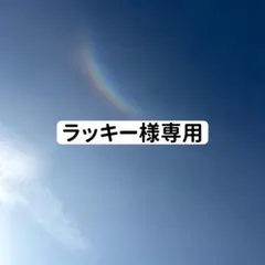 happy socks ハッピーソックス　お客様専用　10点+1点プレゼント