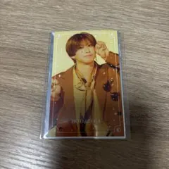 キャッテリア ボダコリ ハーフブロマイド