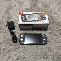 Nintendo Switch Lite グレー