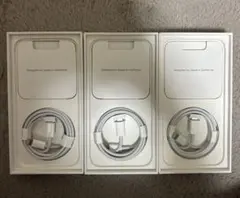 Apple Lightningケーブル 3本セット