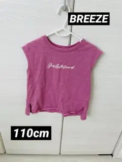 Item thumbnail for item 2a943fab-1191-4361-8fcc-258d7cd0adfd