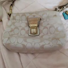 Item thumbnail for item 65b02c43-8525-4383-a43c-b0042e23ac35