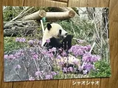 こたあず様 リクエスト 4点 まとめ商品