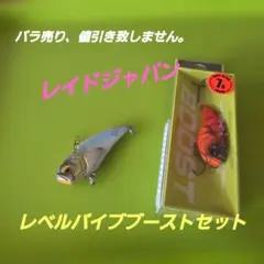 人気色セット】レイドジャパン レベルバイブブースト 7g 2色セット