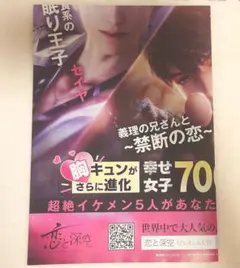 B's-LOG ビーズログ 2026年2月号付録 恋と深空 ツイステ ポスター