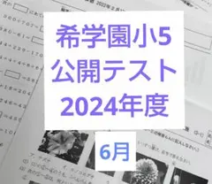 2026年最新】希学園 公開テストの人気アイテム - メルカリ