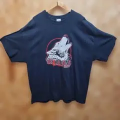 Item thumbnail for item 8e69cfcd-3073-4e6c-9286-acc0b6246d46