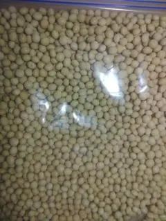 令和7年産 北海道産大豆1k 農薬・化学肥料・除草剤栽培期間中不使用のサムネイル
