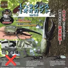 ヘラクレスオオカブト