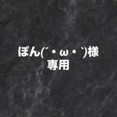 ぽん(´・ω・`) 様　専用