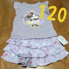 ミニーセットアップ