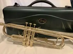 Item thumbnail for item 6a48e866-061a-4b76-8e53-5352996b89b9