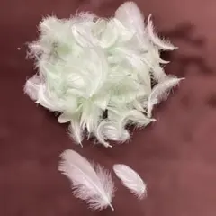 Item thumbnail for item 5397c832-3c36-46d2-b717-29aead82f879