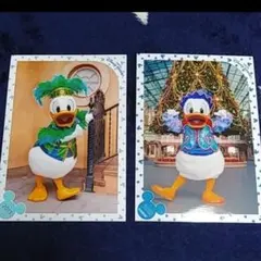 ディズニースペシャルフォト ドナルド