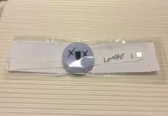 剣持刀也 ペンライト