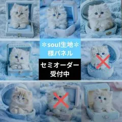 ♡セミオーダー受付中♡　にゃんこのプロポーズ　猫　472　soul様パネル