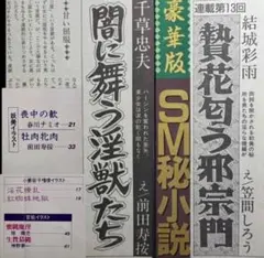 絶版】秘小説88年3月 千草忠夫 結城彩雨 蘭光生 杉村春也 前田寿按 楡