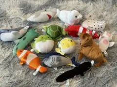 【ぬいぐるみ14個セット】海の生き物のサムネイル