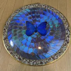 Item thumbnail for item 9b40dfd1-b34b-4c8d-89e9-7a4ffd2b810f