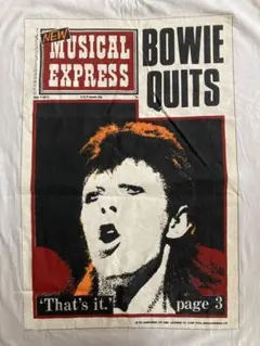 2025年最新】デヴィッド・ボウイを見たか。の人気アイテム - メルカリ