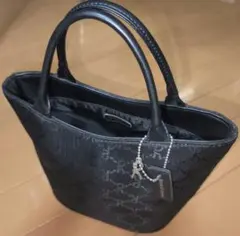 Roberta di Camerino（ロベルタディカメーリノ）黒ハンドバッグ