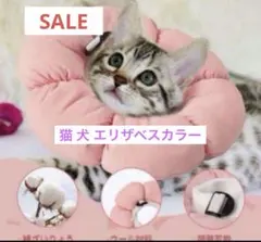 Item thumbnail for item 709f4531-fd99-493a-82b9-4911b5f69dbc