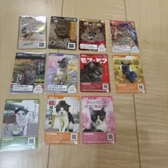 キキポコ（プロフ必読！）様専用 ニャンズカード カインズ 11枚セット