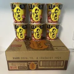 山盛カレーメシ6個&山盛ハヤシメシ6個セットのサムネイル