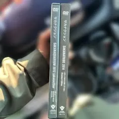 2025年最新】サカナクション dvdの人気アイテム - メルカリ