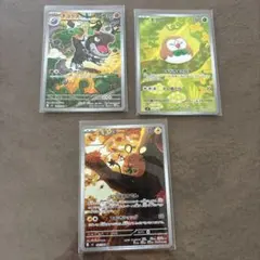 モクロー セット　Rowlet
