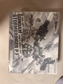 MG 1/100 ガンダムストームブリンガー P.F. 纏め購入で¥500引