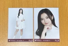 Item thumbnail for item 85347569-72fc-417b-8f0c-68c3a06e16c0