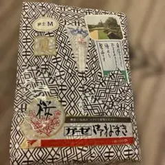 Item thumbnail for item db78810a-092f-4d68-b46c-0931b111b40e