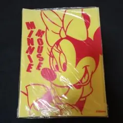 Item thumbnail for item 5363b1fb-448e-407e-8402-73e634ffe8e8