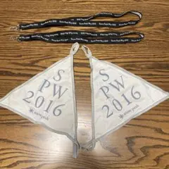 Item thumbnail for item 29edbc32-0591-4b64-9459-39e376303892