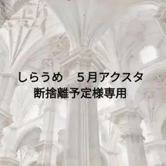 しらうめ　５月アクスタ断捨離予定様専用