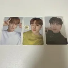 ナシフィック　チャンビン　セット