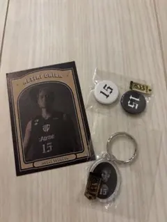 Item thumbnail for item 9c4c74c4-7ea7-46d3-8234-c9d1db57adef