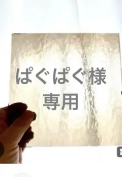 ぱぐぱぐ様専用