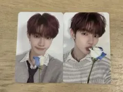 zb1 ジャンハオ タレントカード