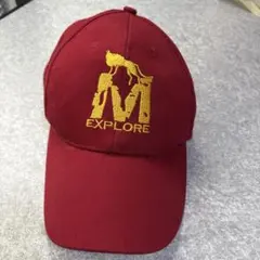 刺繍ロゴキャップ