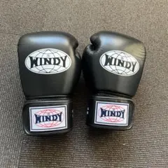 WINDY ボクシンググローブ 12oz ブラック BGVHのサムネイル
