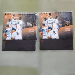 Item thumbnail for item b7deb89b-fba7-4eea-ad67-63b6114ad6af