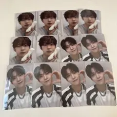 ALD1 showcase ショケ　トレカ　ゴヌ　アドワン 12枚 1部購入特典