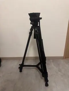 Item thumbnail for item c2a8bbdc-3c76-47e3-b4be-fed5d10588ee