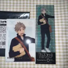 ハイキュー 菅原孝支 坂ノ下商店POPUP クリアカード 特典