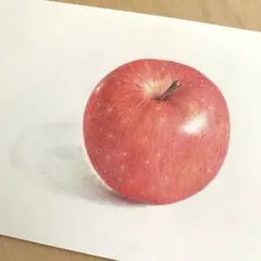 Northwind様 リクエスト 2点 まとめ商品