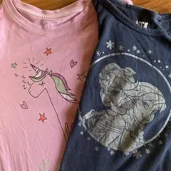 UNIQLO(ユニクロ)アナ雪紺/ピンクユニコーン 長袖カットソー 2枚セット