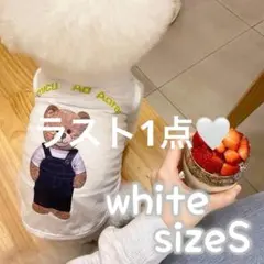 Item thumbnail for item f9c94118-5007-40df-94fe-cbcd49741d92